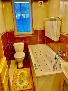 a bathroom with a toilet and a tub and a sink at Pokoje Gościnne u Marysi in Białka Tatrzańska +18 photos