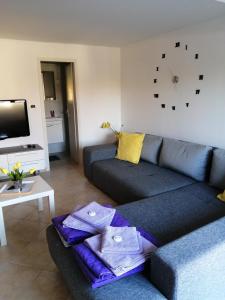 TV a/nebo společenská místnost v ubytování Apartment Lavanda