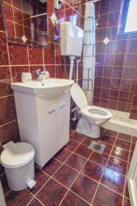 a bathroom with a toilet and a sink and a toilet at Apartmani ALBION in Žabljak