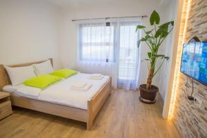 una camera da letto con un letto con cuscini verdi e una pianta di Apartmani ALBION a Žabljak