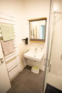 a bathroom with a sink and a shower at Ferienhaus Stöcklin Nähe Europapark Rust in Weisweil +31 photos