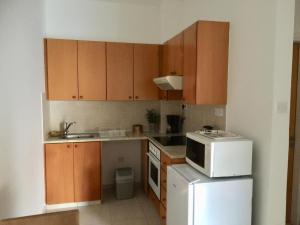 a kitchen with wooden cabinets and a white refrigerator at Davi's Studio Apartment in Paphos City