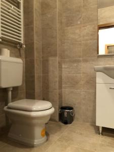 a bathroom with a toilet and a sink at Apartman Mila in Trebinje