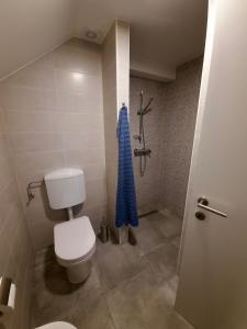 Koupelna v ubytování Rooms Optim
