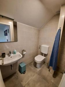 Koupelna v ubytování Rooms Optim
