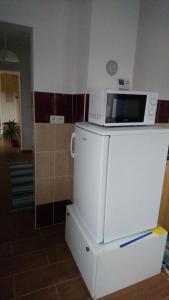 a microwave sitting on top of a refrigerator at SandorA Vendégház Nagyrákos in Nagyrákos