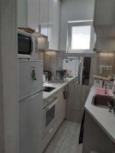 uma pequena cozinha com um frigorífico branco e um lavatório em Lakilak pihenőház a Holt-Tisza partján, termálfürdőnél, Lakitelek em Lakitelek