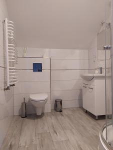 La salle de bains blanche est pourvue de toilettes et d'un lavabo. dans l'établissement Kaszubska Przystań, à Brzeźno Szlacheckie