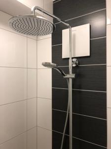 a shower with a shower head in a bathroom at Ferienwohnungen am Feldrain - Gornau im Erzgebirge in Zschopau +18 photos