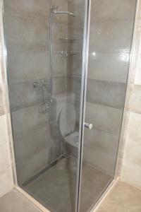 a shower stall with a toilet in a bathroom at Apartman 2 in Senj +10 photos