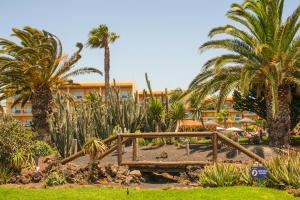 a park with a bench and palm trees and a building at Captivating Duplex on the Castillo Mar Complex in Caleta De Fuste
