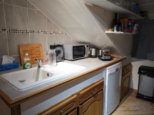 um balcão de cozinha com um lavatório e um micro-ondas em Residence le Cairn em Le Monêtier-les-Bains
