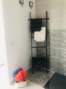 a bathroom with a towel rack and a shower at Olas de Lobos in Corralejo
