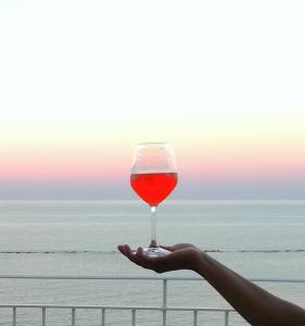 a person holding a wine glass in front of the ocean at Attico fronte mare in Martinsicuro