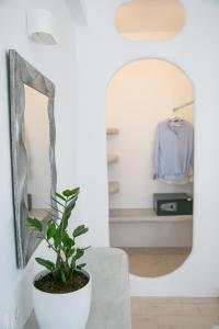 a plant sitting on a table next to a mirror at Sensia Luxury Apartment with Hot tub in Oia