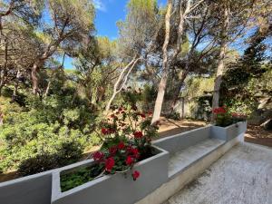 Fotografie z fotogalerie ubytování Villa Emma v destinaci Melendugno