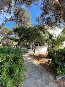 Fotografie z fotogalerie ubytování Villa Emma v destinaci Melendugno