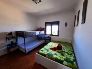 een slaapkamer met een bed met een teddybeer erop bij Lanzate in Tinajo +29 foto's