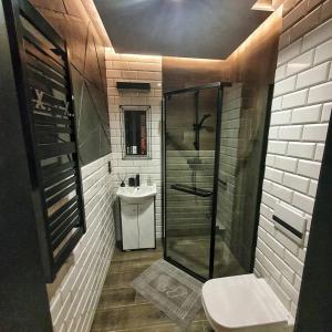 a bathroom with a shower and a toilet and a sink at Loft 66 Apartamenty in Władysławowo +20 photos