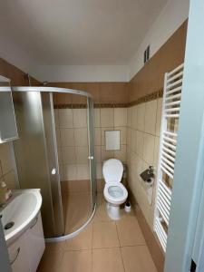 uma casa de banho com um chuveiro, um WC e um lavatório. em Apartmány - Školní em Chomutov