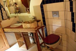 a bathroom with a sink and a toilet and a mirror at La Paille in Pelvoux +29 photos