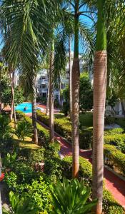 a resort with palm trees and a swimming pool at Punta Cana Blue Beach Estudio in Punta Cana