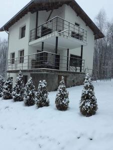 a house with christmas trees in the snow at Къща за гости Вила Отдих Vila Otdih in Apriltsi +7 photos