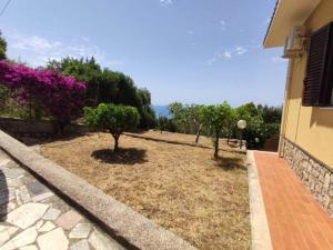 A garden outside Domus Anxur
