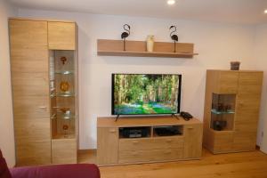 a living room with a flat screen tv on a wooden entertainment center at 4 Sterne Ferienwohnung Sommerberg in Rohrbach