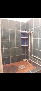 e bagno piastrellato con doccia e tubo di Casa G&A Geta și Alexandru a Sulina Altre 17 foto