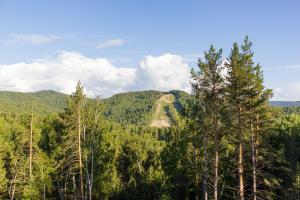 a view from the top of a mountain with trees at Гостиница Олимп-парк in Belokurikha