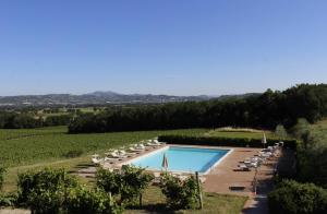 ein Schwimmbad in einem Weinberg mit einem Haufen Stühle in der Unterkunft Poggio alle Vigne in Torgiano
