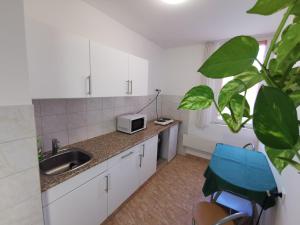 una cocina con fregadero y microondas en una encimera en Arena Apartment, en Szombathely