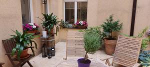 patio z grupą roślin i roślin doniczkowych w obiekcie Monciak w mieście Sopot