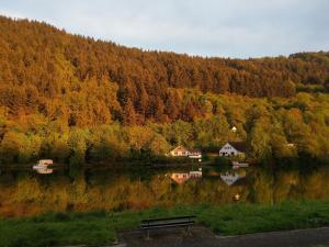 a bench sitting next to a lake with a forest at Altes Fährhaus an der Mosel anno1633 in Traben-Trarbach