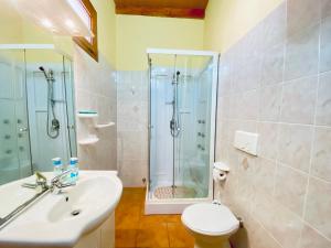 a bathroom with a shower and a sink and a toilet at Le Ginestre Alghero in Olmedo