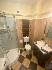 a bathroom with a toilet and a sink and a shower at Balian apartman in Siófok