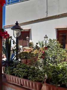 Vonkajšia záhrada v ubytovaní La Terrazza sul porto