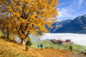 two people standing on a hill next to a tree at Alpine Appart in Bad Hofgastein