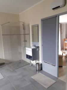 bagno con doccia, lavandino e box doccia di Chambres et Table d'Hôtes Les Trois Marquets a Bourthes Altre 67 foto