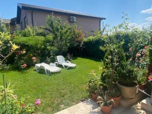 a yard with two lawn chairs and some plants at Vila Eduard in Mamaia Sat/Năvodari +4 photos