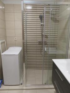 W łazience znajduje się prysznic, toaleta i umywalka. w obiekcie City Corner Central w mieście Mosonmagyaróvár