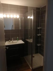 a bathroom with a shower and a sink and a mirror at Appartement sympa T2 in Alès