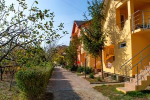 una calle en un casco antiguo con edificios en Pensiunea Carmena, en Băile Felix