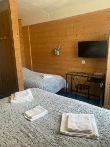 TV a/nebo společenská místnost v ubytování Hôtel l'Équipe