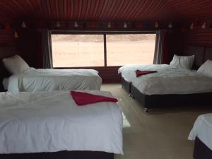 Легло или легла в стая в Black Irish Camp And Tours