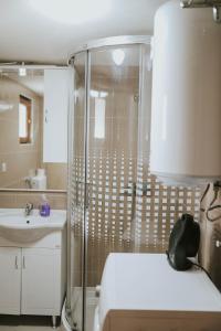 a bathroom with a shower and a toilet and a sink at Manuela in Gospić