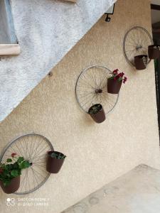 een groep van drie fietsen met planten op een muur bij CASA DOS GRILOS in Penacova