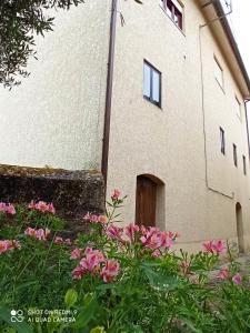 a building with pink flowers in front of it at CASA DOS GRILOS in Penacova