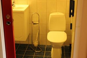 a bathroom with a toilet and a shower at Sildpollnes Sjøcamp in Vestpollen +8 photos